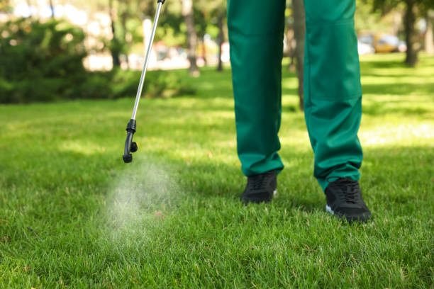 Insect Control in La Quinta, CA